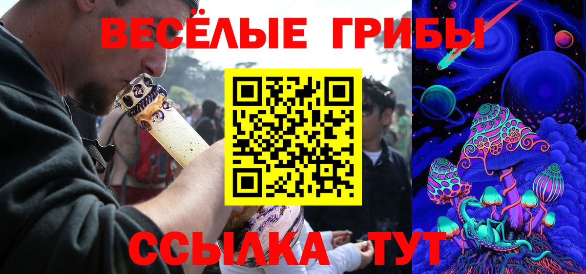 Галлюциногенные грибы Psilocybe  Вход с VPN  Жигулёвск 